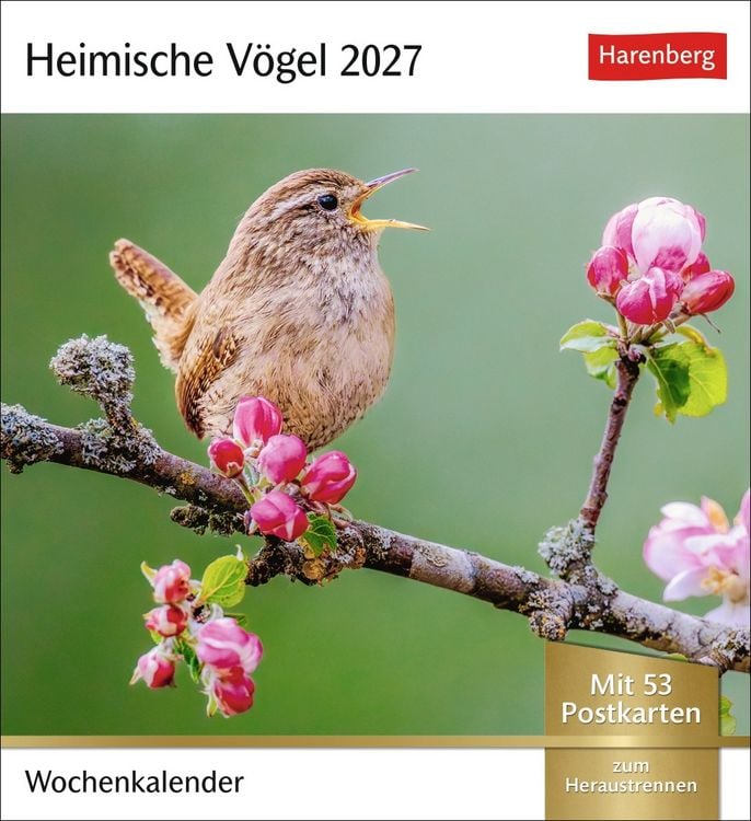 Produktbild: Heimische V&ouml;gel Postkartenkalender 2027 - Wochenkalender mit 53 Postkarten