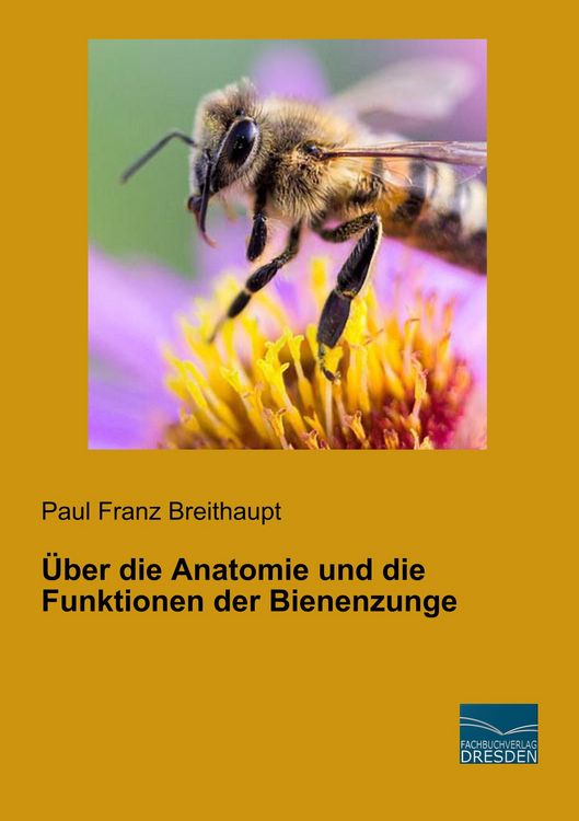 Produktbild: &Uuml;ber die Anatomie und die Funktionen der Bienenzunge