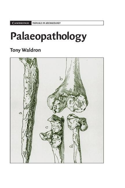 Produktbild: Palaeopathology
