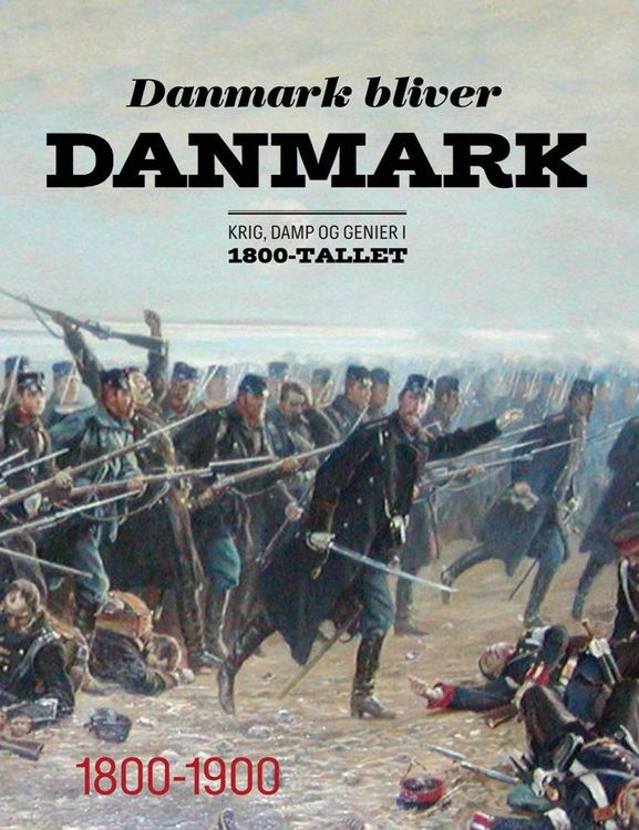 Produktbild: Danmark bliver Danmark