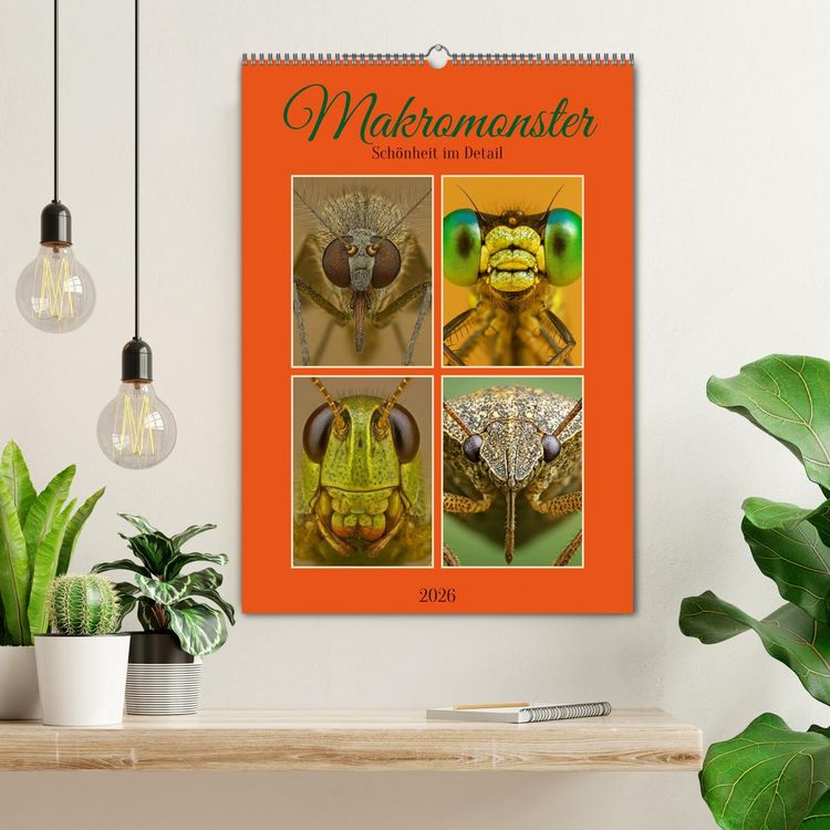 Produktbild: Makromonster - Sch&ouml;nheit im Detail (Wandkalender 2026 DIN A2 hoch), CALVENDO Monatskalender