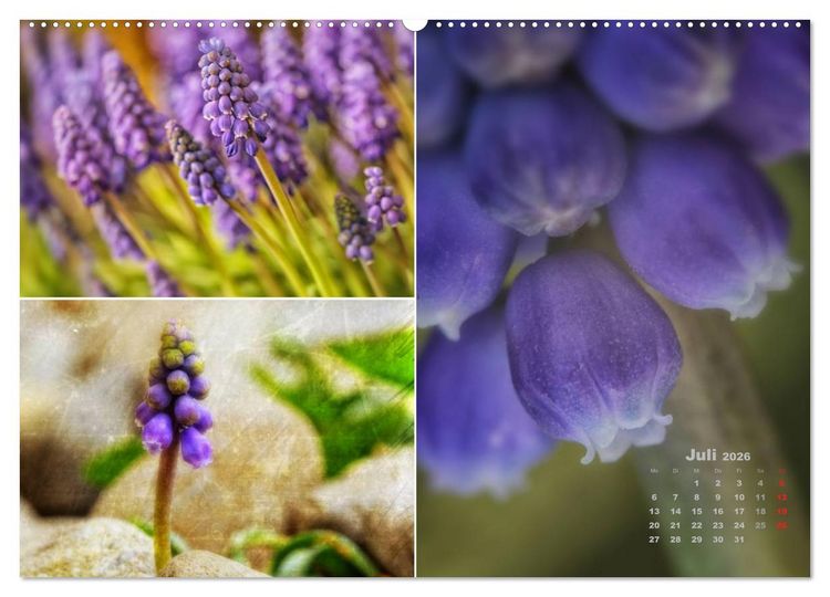 Produktbild: Blumenreise 2026 (Wandkalender 2026 DIN A2 quer), CALVENDO Monatskalender