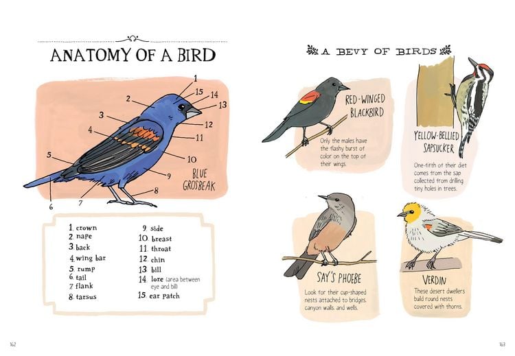 Produktbild: Nature Anatomy