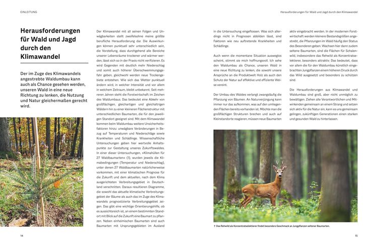 Produktbild: Waldbau f&uuml;r J&auml;ger