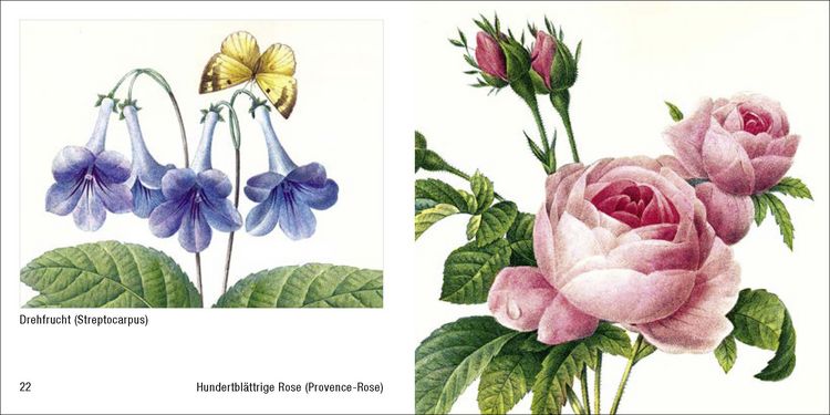 Produktbild: Historische Blumenbilder &ndash; Book To Go