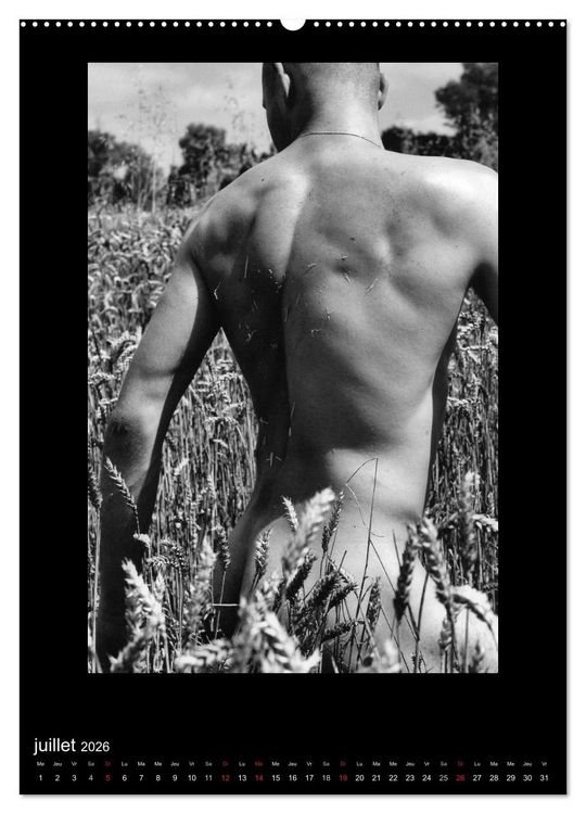 Produktbild: Au Masculin (Calendrier mural 2026 DIN A2 horizontal) calendrier de bureau