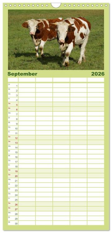 Produktbild: Familienplaner 2026 - Die Welt der K&uuml;he mit 5 Spalten (Wandkalender, 21 x 45 cm) CALVENDO