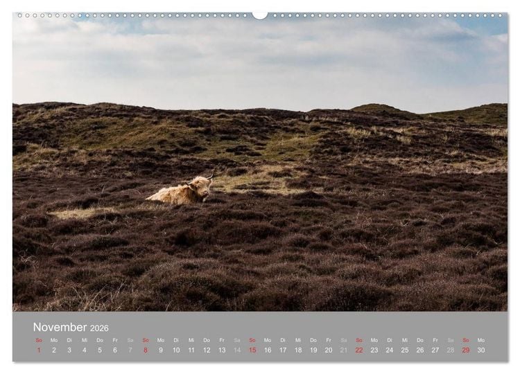 Produktbild: Texel - Meine Insel (hochwertiger Premium Wandkalender 2026 DIN A2 quer), Kunstdruck in Hochglanz