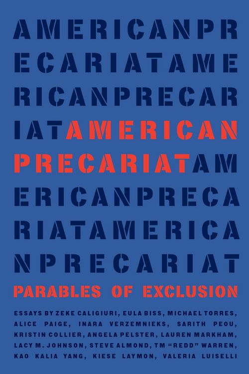 Produktbild: American Precariat