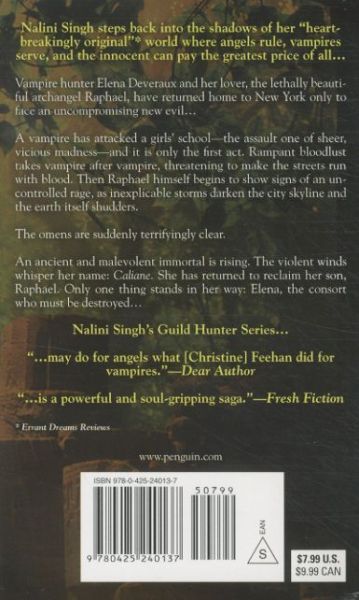 Produktbild: Archangel's Consort