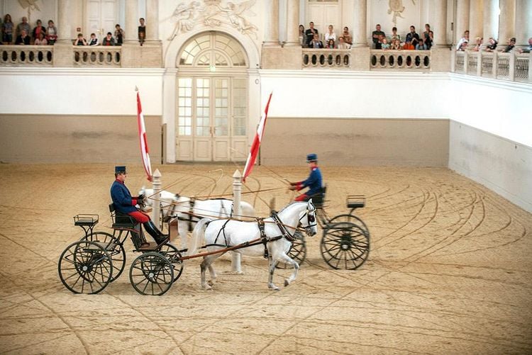 Produktbild: 450 Jahre Spanische Hofreitschule