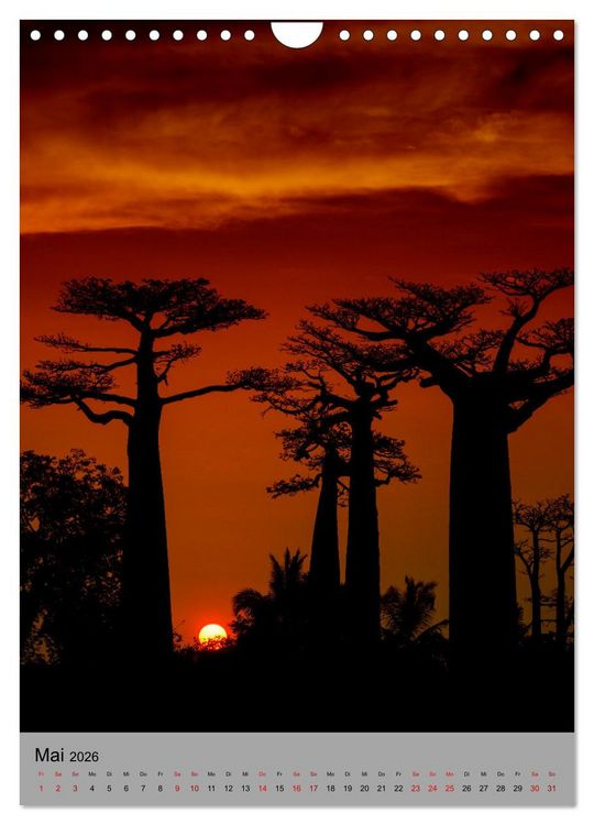 Produktbild: MADAGASKAR: Baobabs, Lemuren, Naturwunder (Wandkalender 2026 DIN A4 hoch), CALVENDO Monatskalender