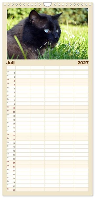 Produktbild: Familienplaner 2027 - Katzen im Portr&auml;t / Geburtstagskalender mit 5 Spalten (Wandkalender, 21 x 45 cm) CALVENDO