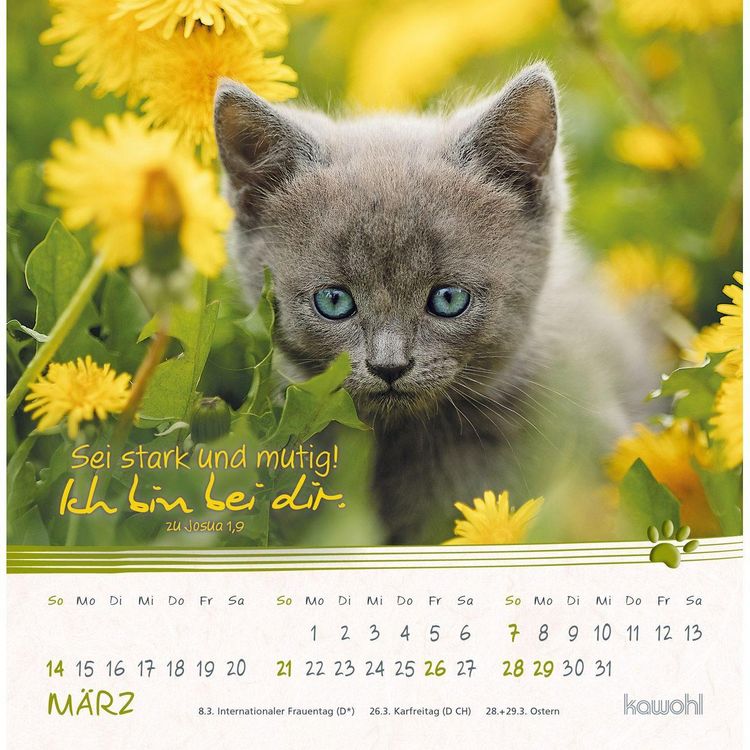 Produktbild: Kleine Katzen-Tatzen 2027