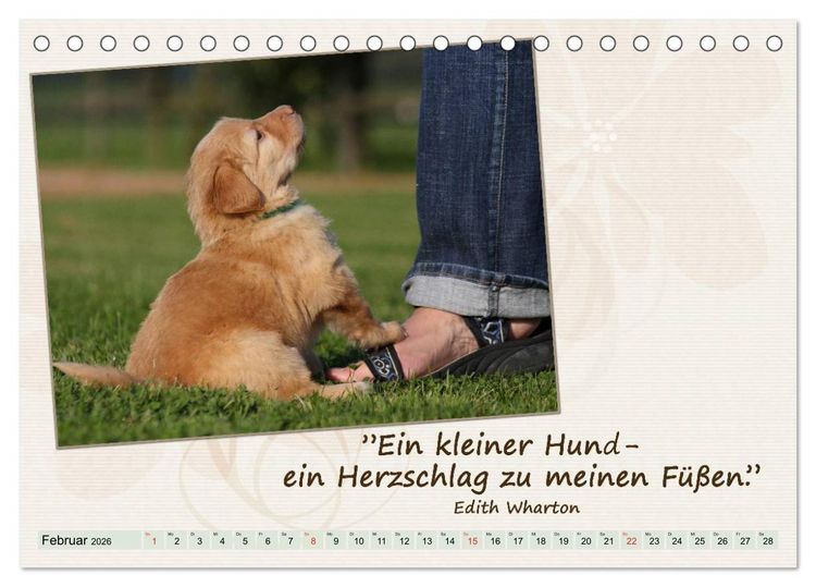 Produktbild: Mit Hundezitaten gut durchs Jahr (Tischkalender 2026 DIN A5 quer), CALVENDO Monatskalender
