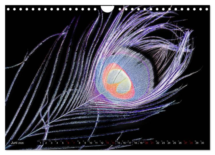 Produktbild: Federleichte Momente (Wandkalender 2026 DIN A4 quer), CALVENDO Monatskalender