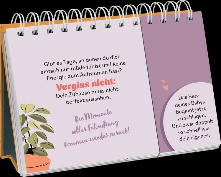 Produktbild: Hurra, bald bist du da