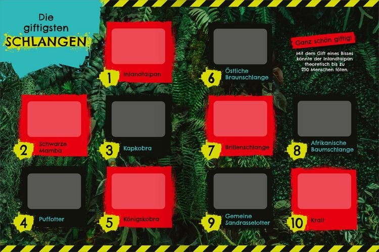 Produktbild: Das giftigste Stickerheft der Welt