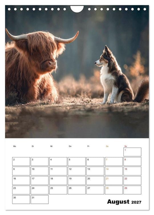 Produktbild: Ein Herz und eine Schnauze - Ein tierisch buntes Miteinander (Wandkalender 2027 DIN A4 hoch), CALVENDO Monatskalender
