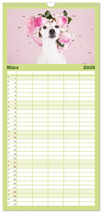 Produktbild: Familienplaner 2026 - Die Parson-Russell-Terrier ...mit neuen Abenteuern aus der Hundeknipserei mit 5 Spalten (Wandkalender, 21 x 45 cm) CALVENDO