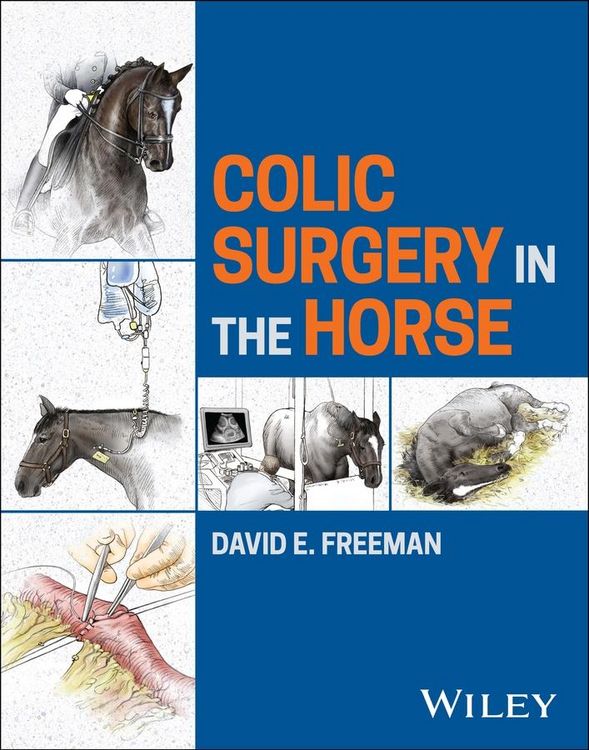 Produktbild: Colic Surgery in the Horse