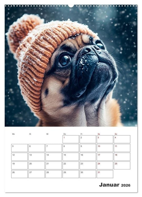 Produktbild: MOPS Pfotengl&uuml;ck in Faltenform (hochwertiger Premium Wandkalender 2026 DIN A2 hoch), Kunstdruck in Hochglanz