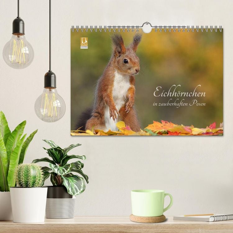 Produktbild: Eichh&ouml;rnchen in zauberhaften Posen (Wandkalender 2026 DIN A4 quer), CALVENDO Monatskalender