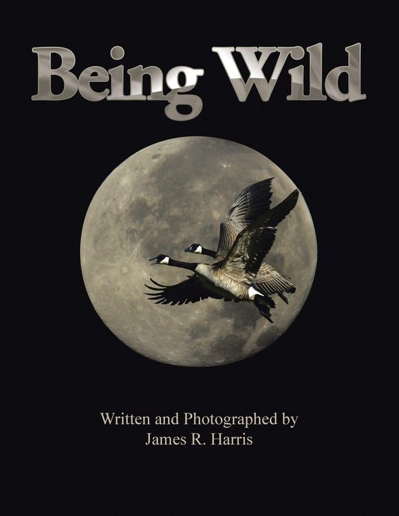 Produktbild: Being Wild