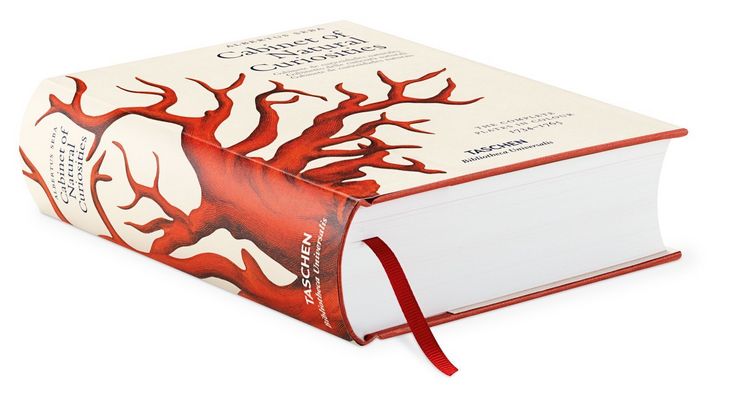 Produktbild: Seba. Cabinet of Natural Curiosities