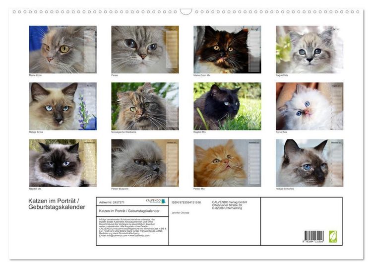 Produktbild: Katzen im Portr&auml;t / Geburtstagskalender (Wandkalender 2027 DIN A2 quer), CALVENDO Monatskalender