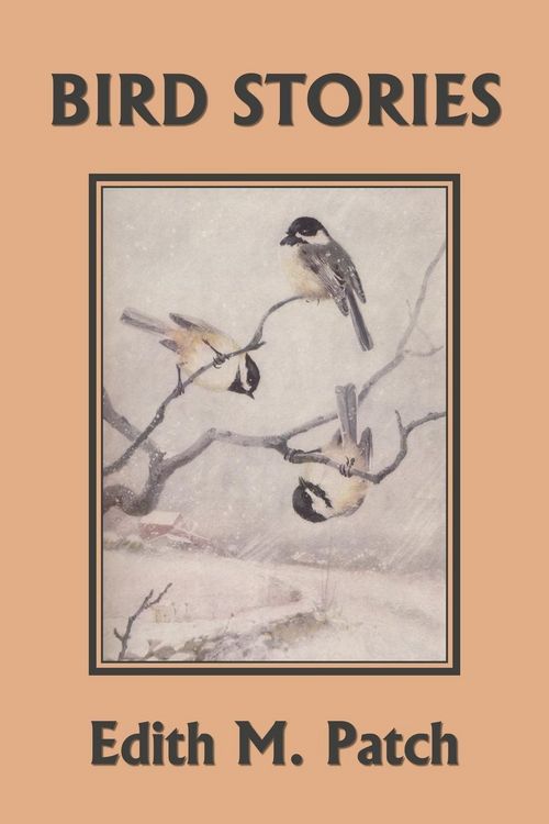 Produktbild: Bird Stories (Yesterday's Classics)