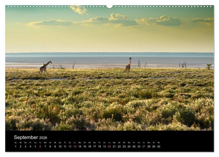Produktbild: Namibia: Ein Traum von sanftem Licht und unendlicher Weite (hochwertiger Premium Wandkalender 2026 DIN A2 quer), Kunstdruck in Hochglanz