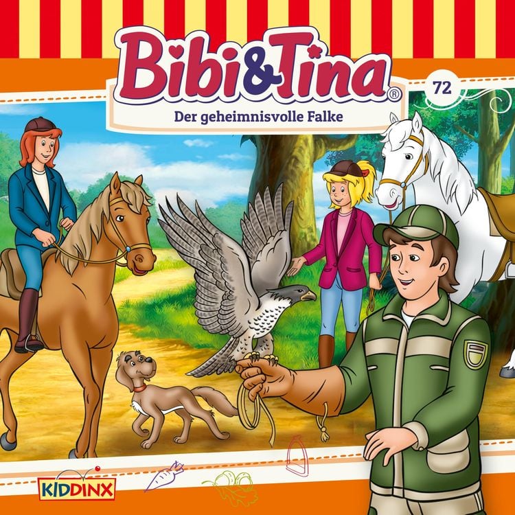 Produktbild: Der geheimnisvolle Falke