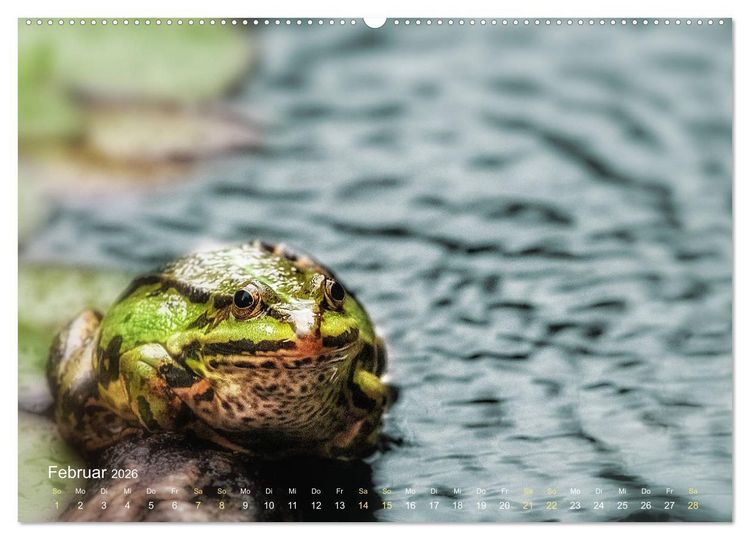Produktbild: Fr&ouml;sche zum Verlieben (hochwertiger Premium Wandkalender 2026 DIN A2 quer), Kunstdruck in Hochglanz
