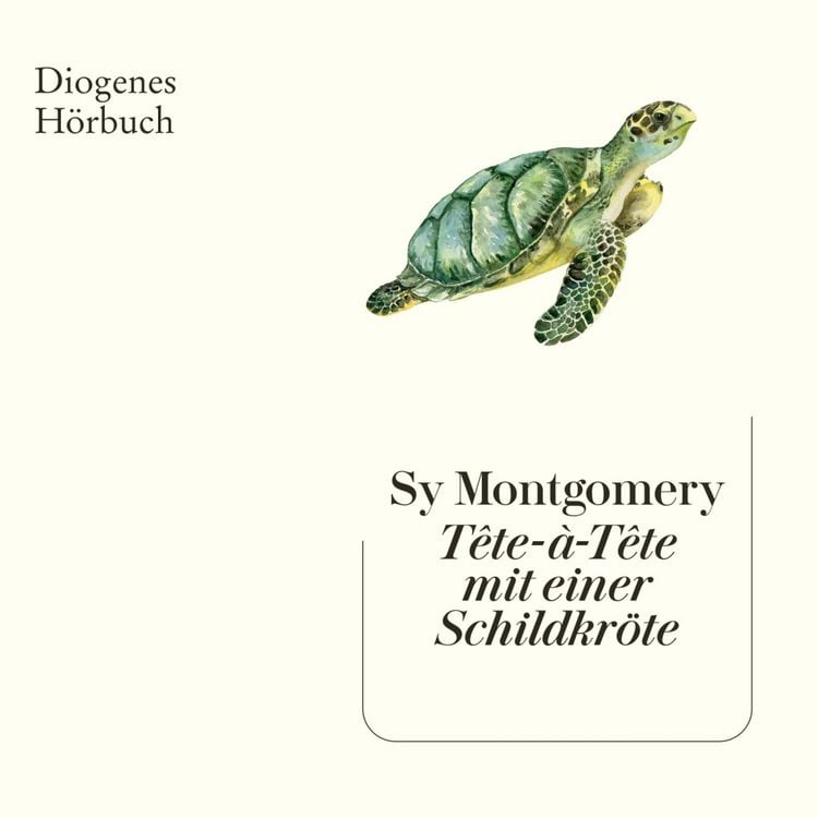 Produktbild: T&ecirc;te-&agrave;-T&ecirc;te mit einer Schildkr&ouml;te