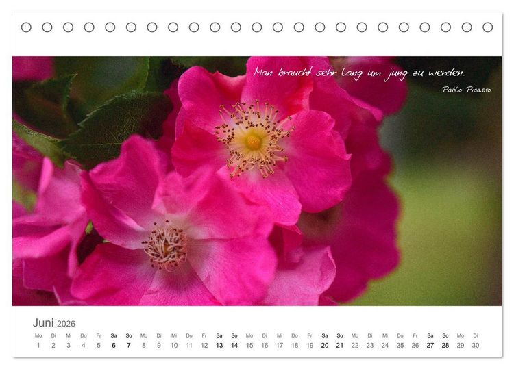 Produktbild: Rendezvous im Park (Tischkalender 2026 DIN A5 quer), CALVENDO Monatskalender