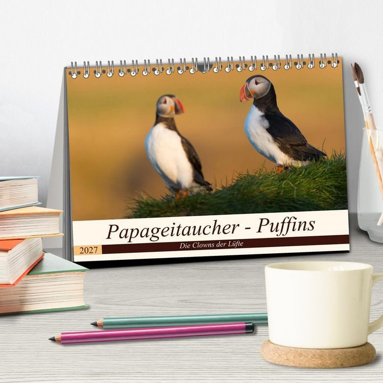 Produktbild: Papageitaucher - Puffins (Tischkalender 2027 DIN A5 quer), CALVENDO Monatskalender