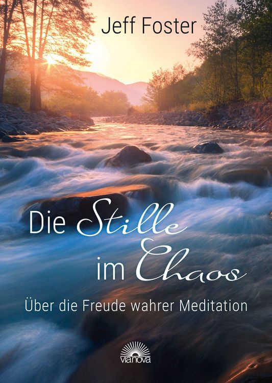 Produktbild: Die Stille im Chaos: &Uuml;ber die Freude wahrer Meditation