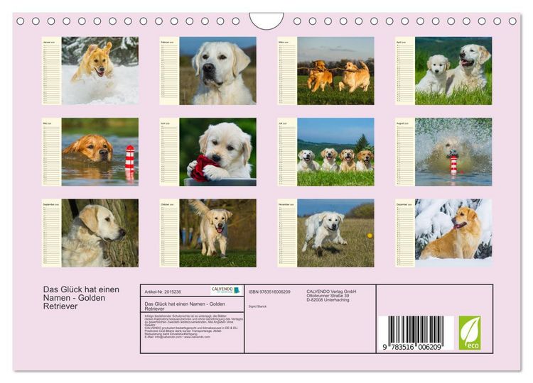 Produktbild: Das Gl&uuml;ck hat einen Namen - Golden Retriever (Wandkalender 2026 DIN A4 quer), CALVENDO Monatskalender
