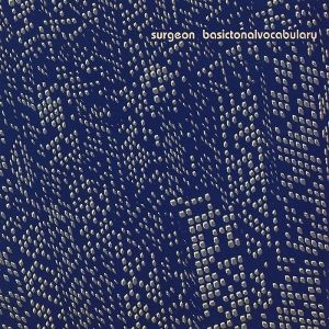 Produktbild: Basictonalvocabulary (2025 Repress) (2LP)