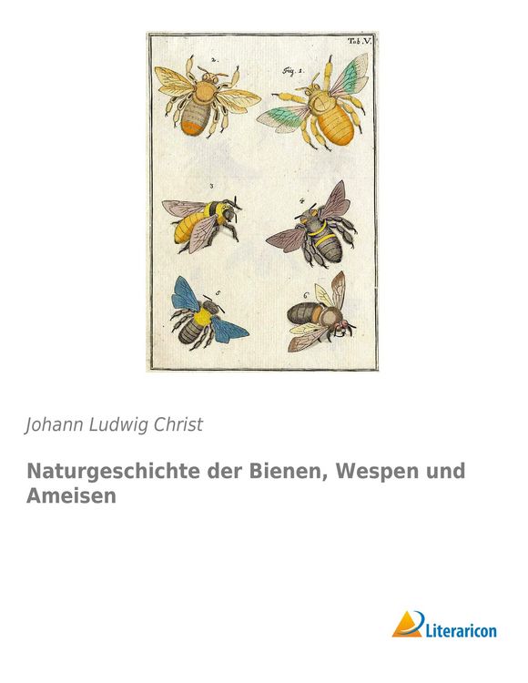 Produktbild: Naturgeschichte der Bienen, Wespen und Ameisen