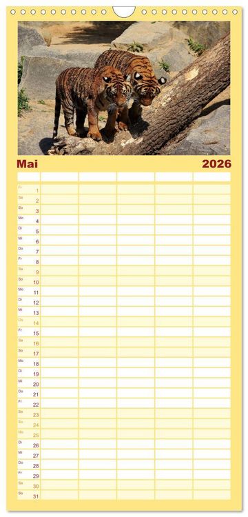 Produktbild: Familienplaner 2026 - Tiger mit 5 Spalten (Wandkalender, 21 x 45 cm) CALVENDO
