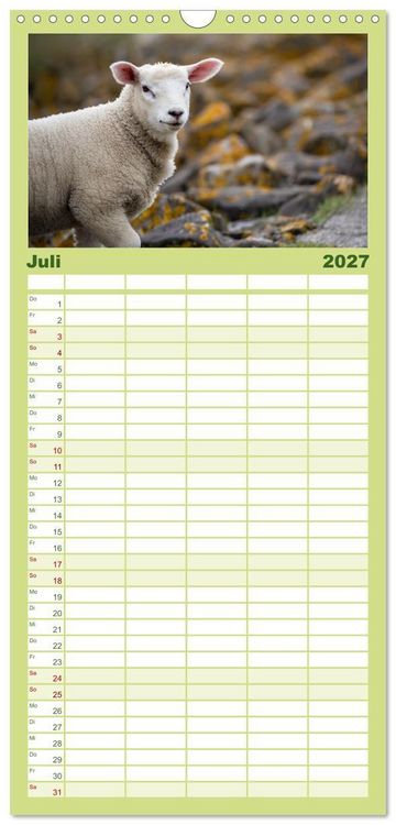 Produktbild: Familienplaner 2027 - Deichschafe - H&uuml;ter der Deiche in Nordfriesland mit 5 Spalten (Wandkalender, 21 x 45 cm) CALVENDO