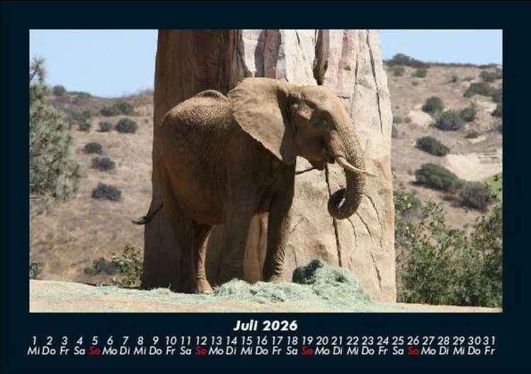 Produktbild: Der Tierkalender 2026 Fotokalender DIN A5