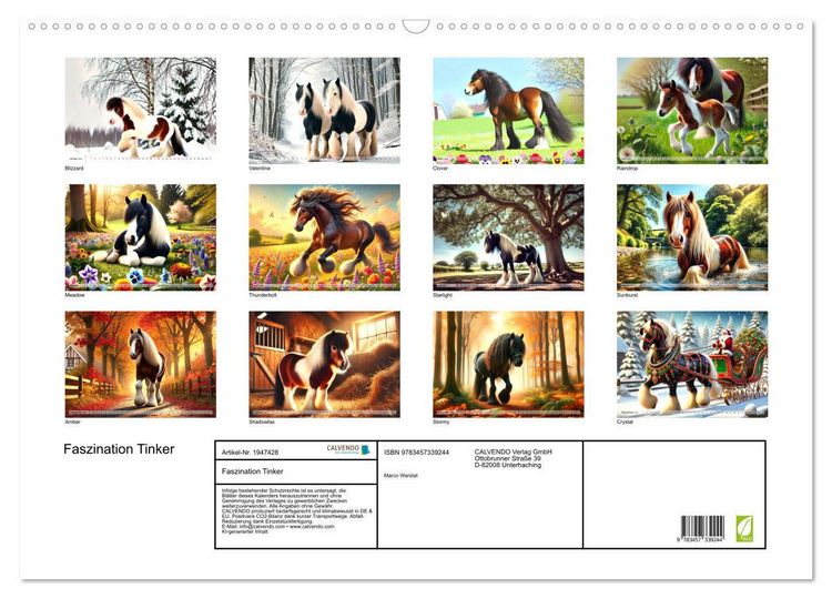 Produktbild: Faszination Tinker (Wandkalender 2026 DIN A2 quer), CALVENDO Monatskalender