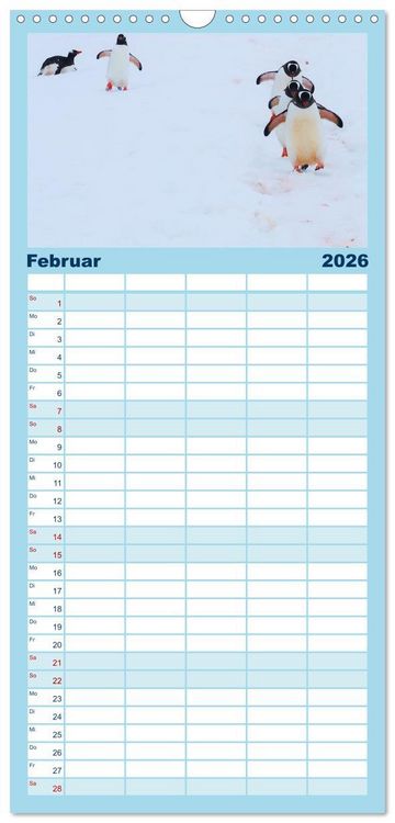 Produktbild: Familienplaner 2026 - Arktis und Antarktis - Eisig durch das Jahr mit 5 Spalten (Wandkalender, 21 x 45 cm) CALVENDO