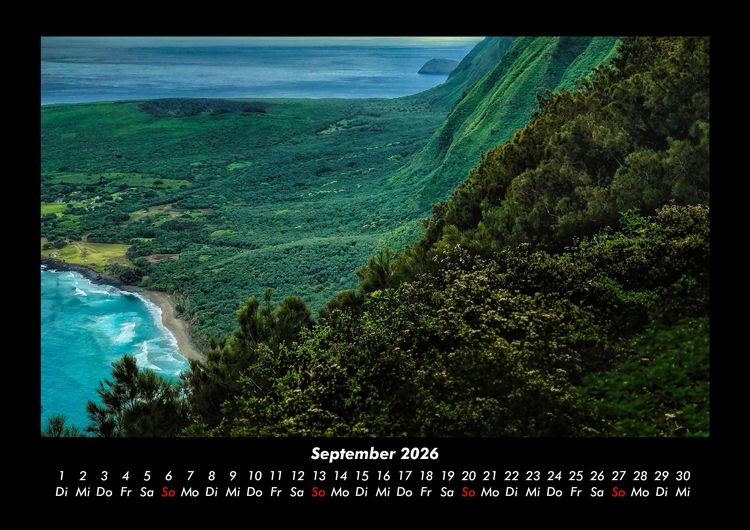 Produktbild: Blumen & Pflanzen 2026 Fotokalender DIN A3