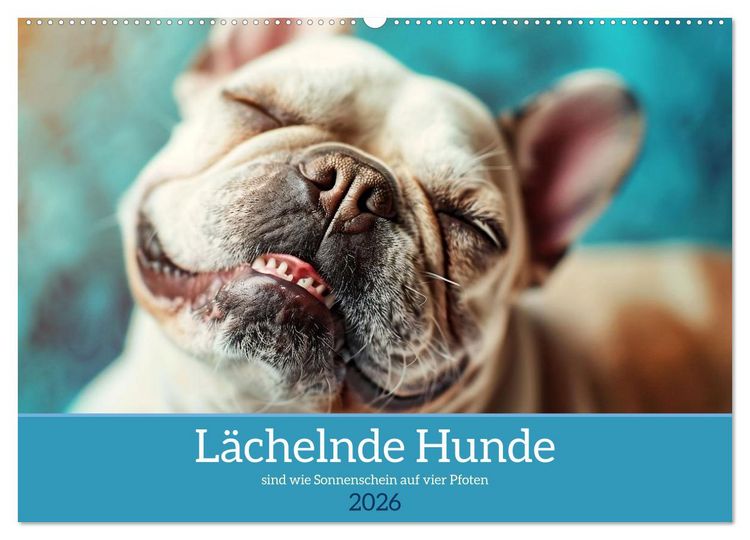 Produktbild: L&auml;chelnde Hunde sind wie Sonnenschein auf vier Pfoten (Wandkalender 2026 DIN A2 quer), CALVENDO Monatskalender