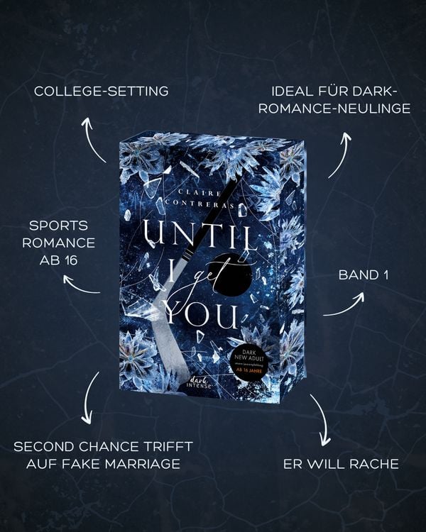 Produktbild: Until I Get You (Fairview Hockey, Band 1)