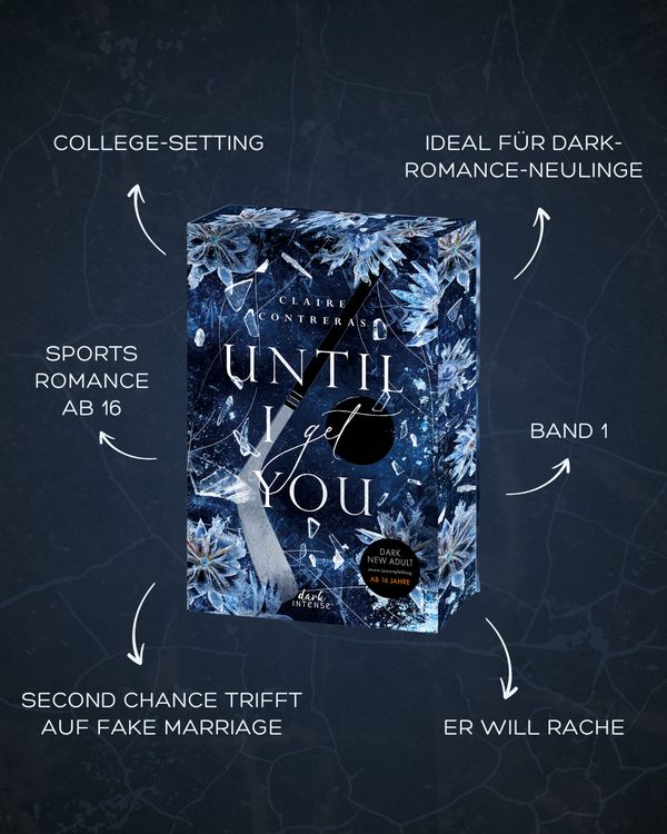 Produktbild: Until I Get You (Fairview Hockey, Band 1)